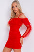 Red Ruched Mesh Bardot Mini Dress